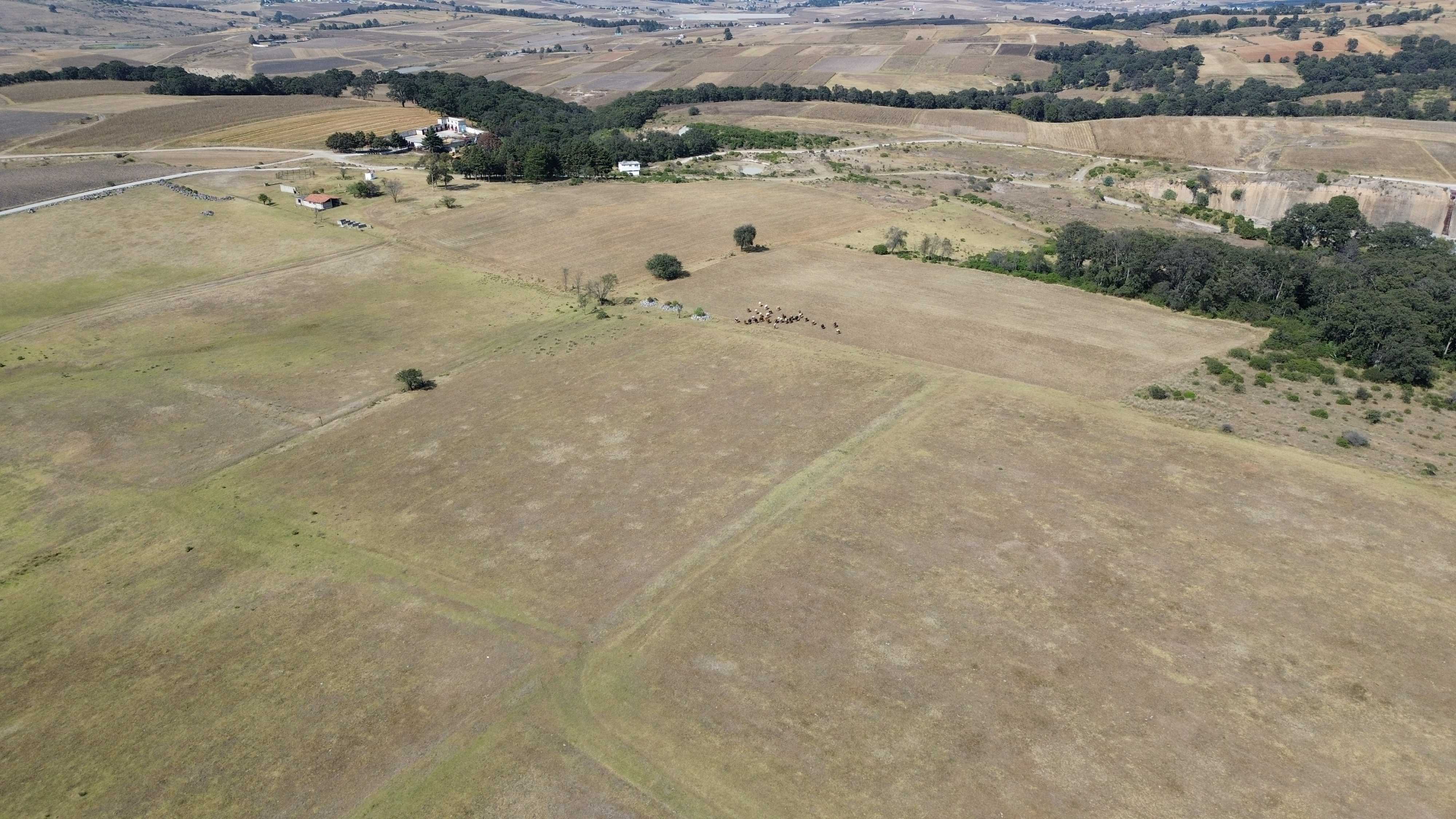 dji 0012