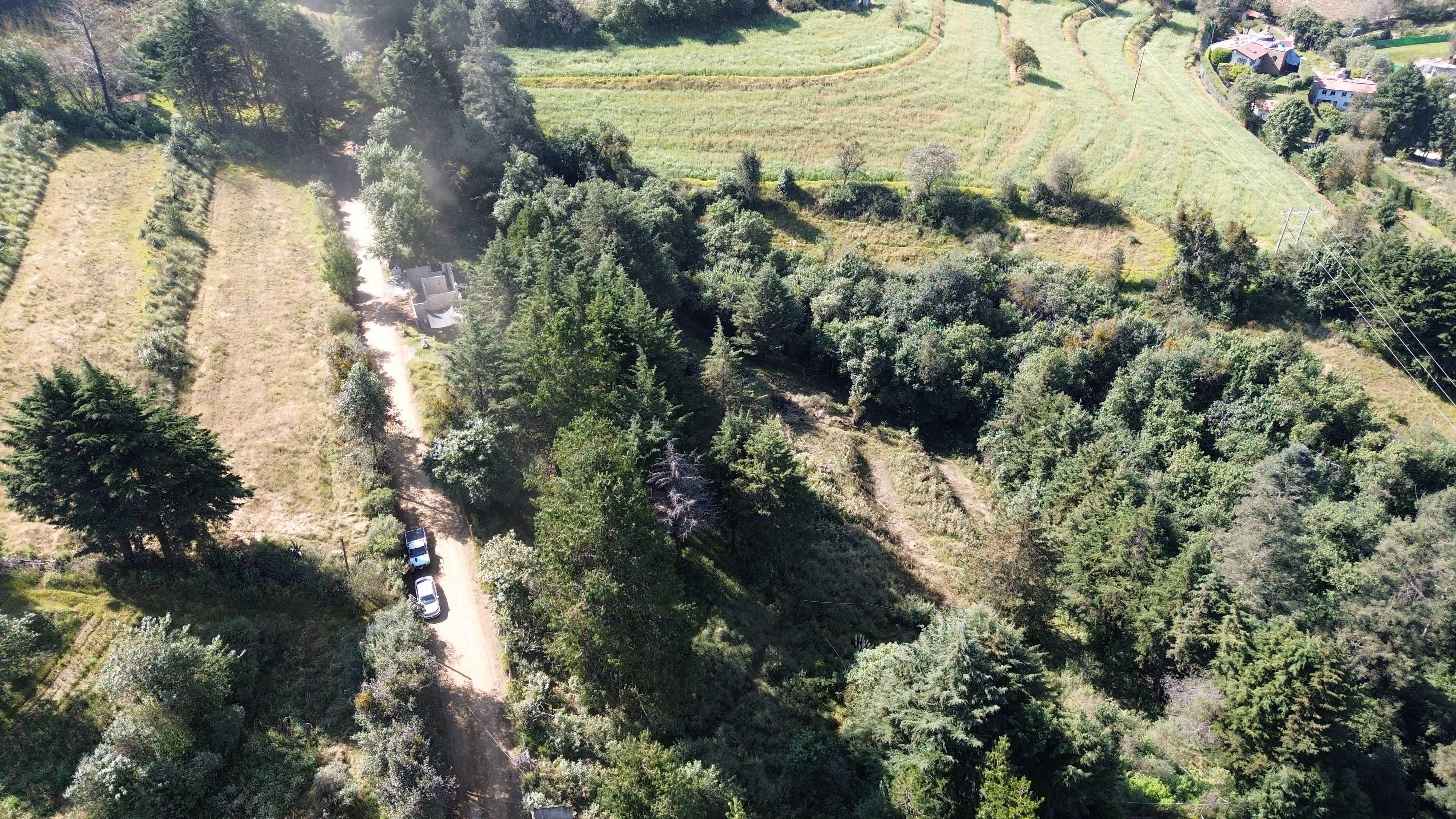 dji 0029
