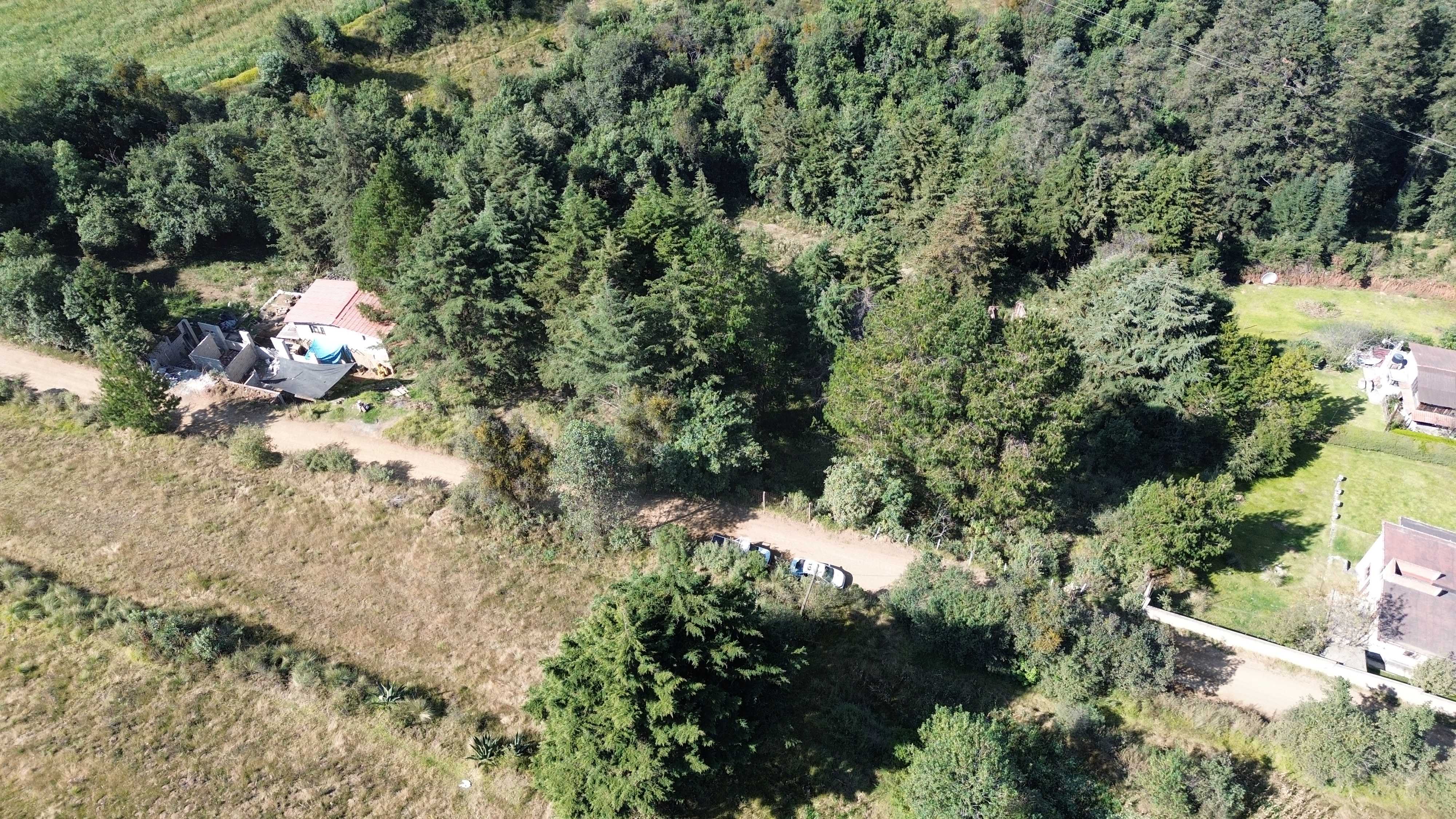 dji 0030