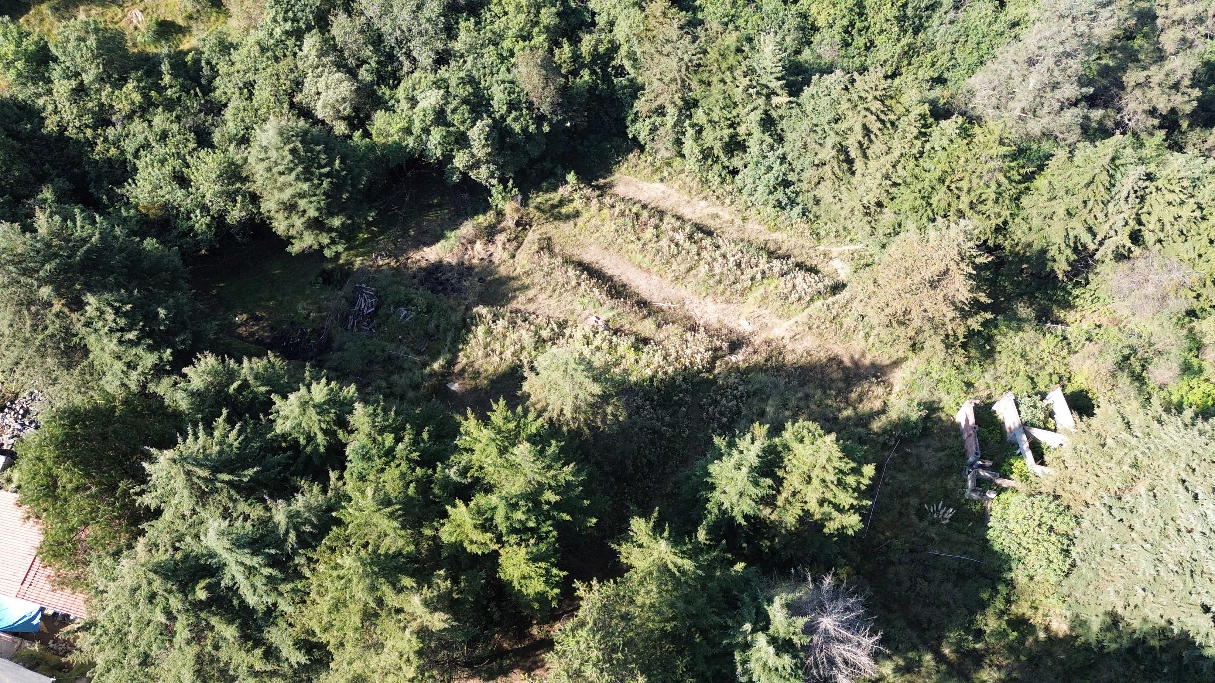 dji 0031
