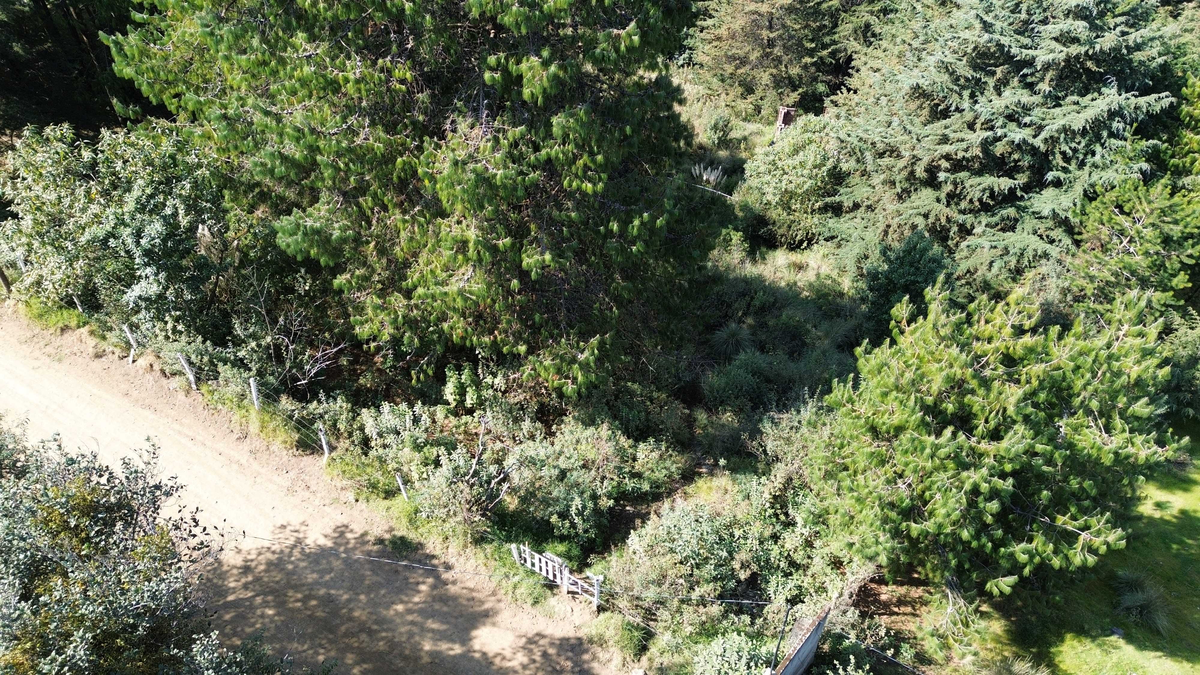 dji 0042