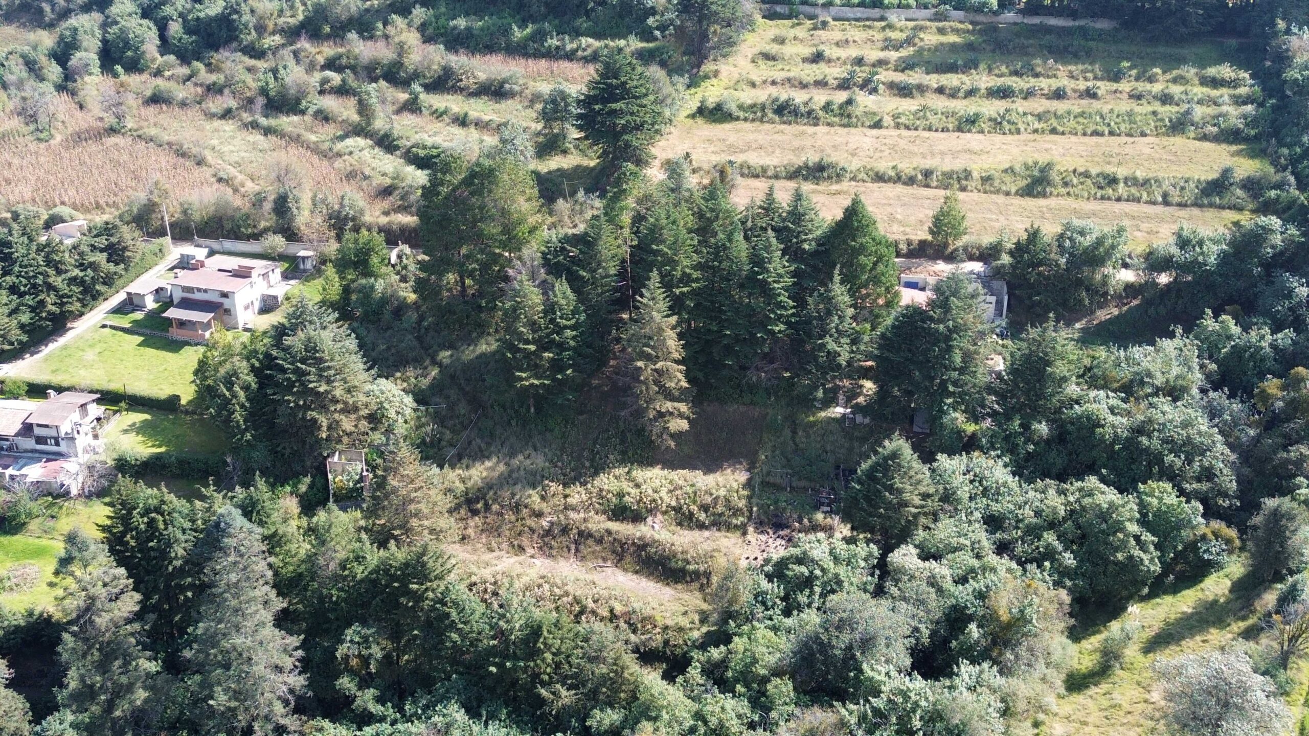 dji 0046