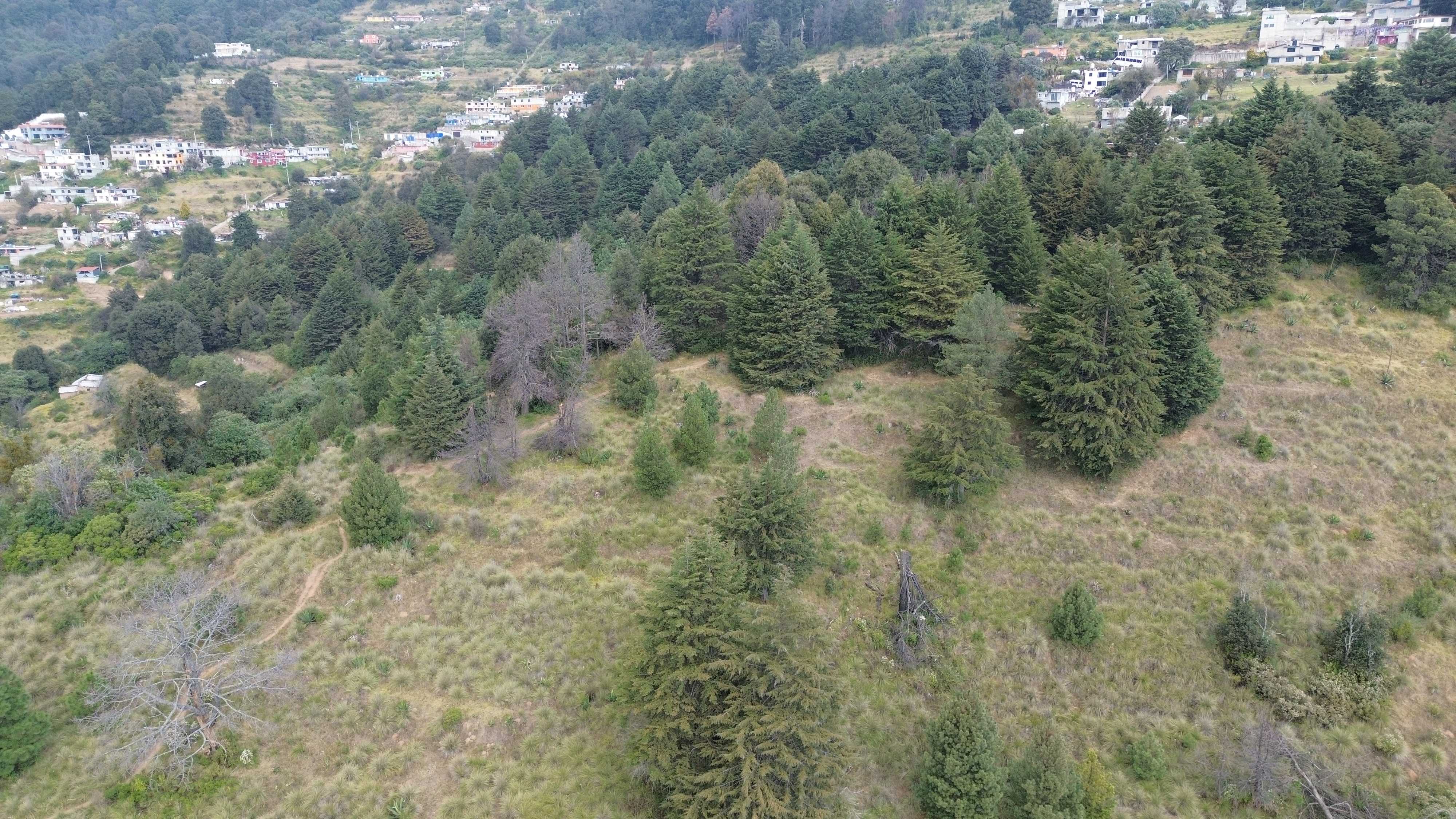 Terreno en Santa Cruz Ayotuxco, Huixquilucan dji 0053