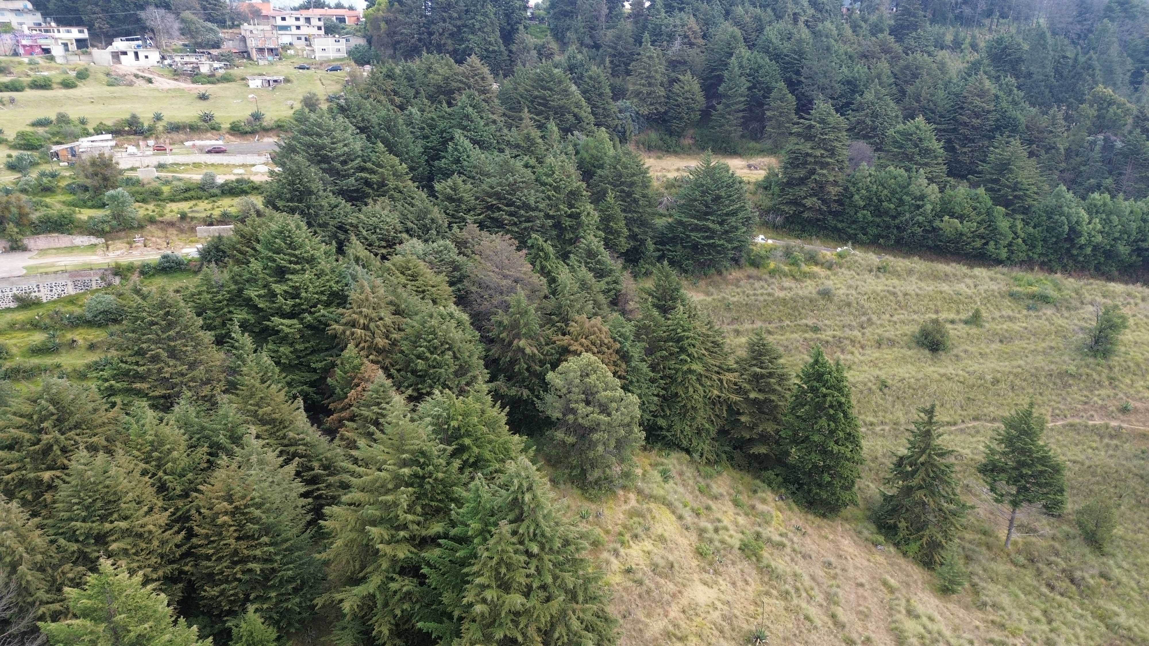Terreno en Santa Cruz Ayotuxco, Huixquilucan dji 0055