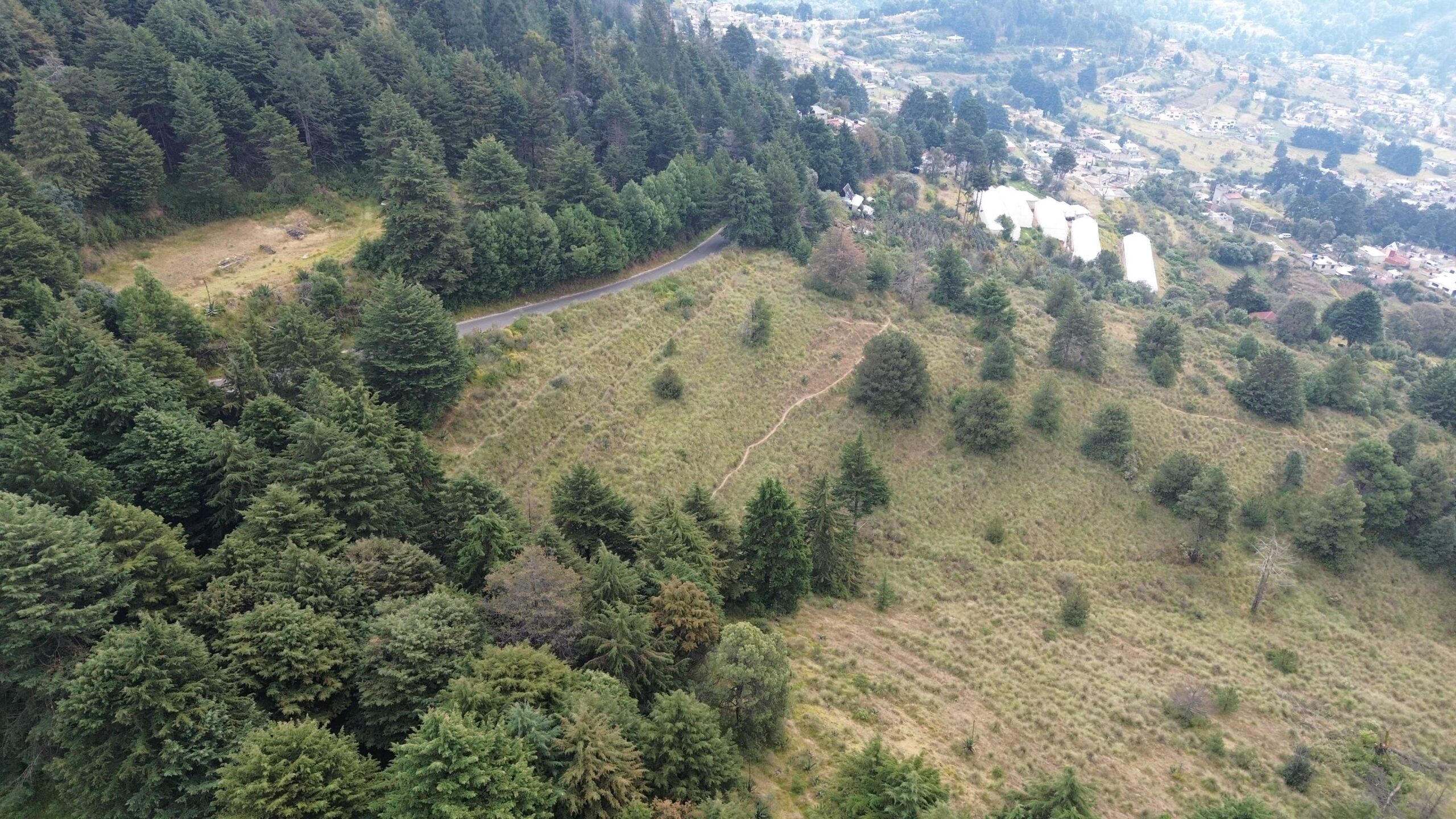 dji 0059