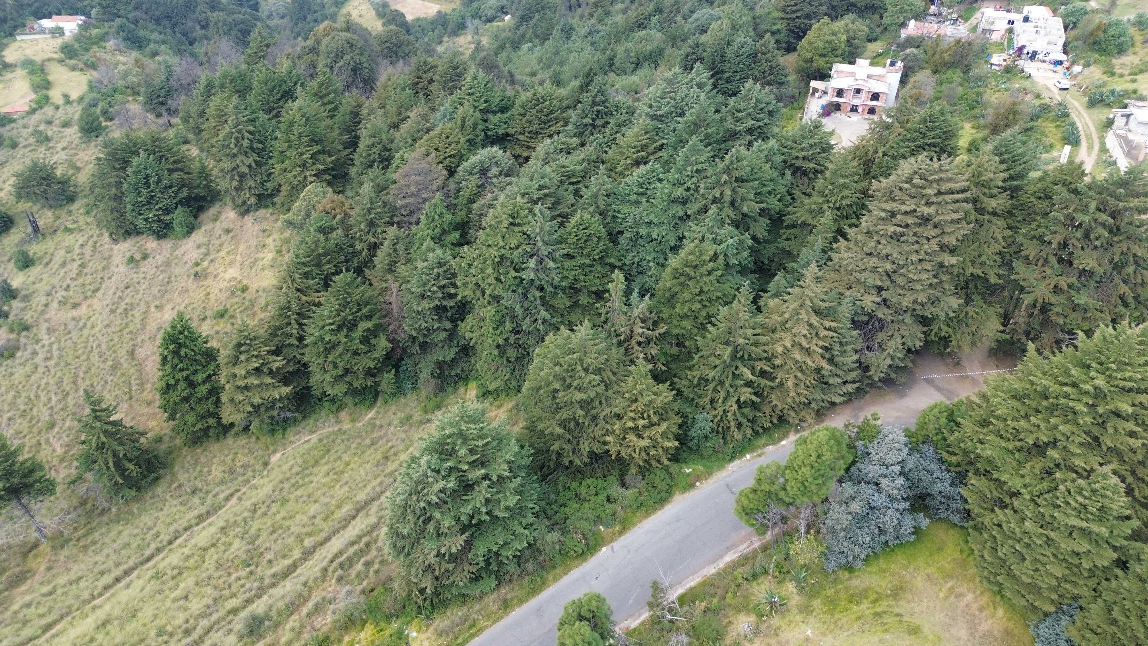 Terreno en Santa Cruz Ayotuxco, Huixquilucan dji 0061