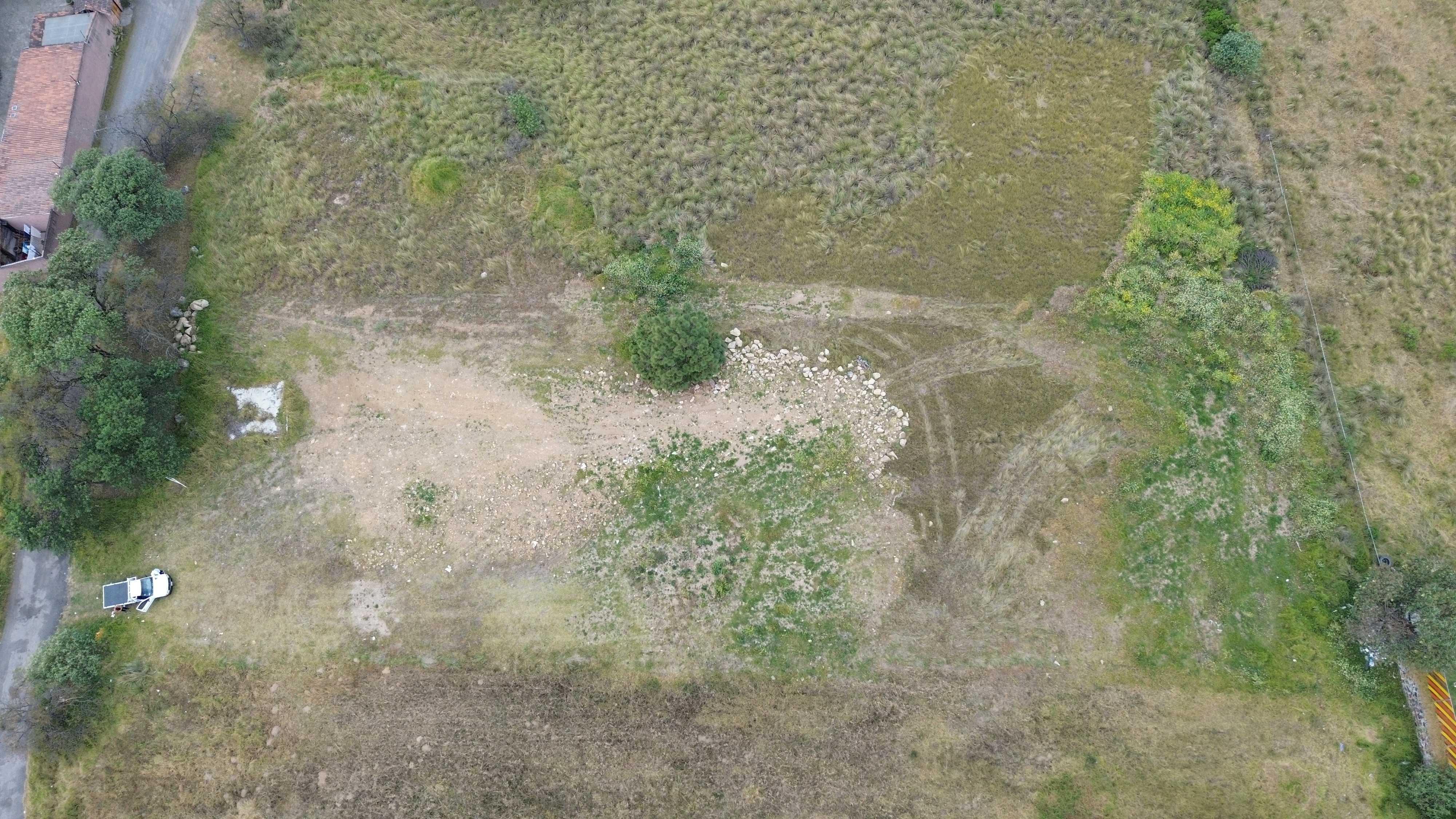 DJI 0104