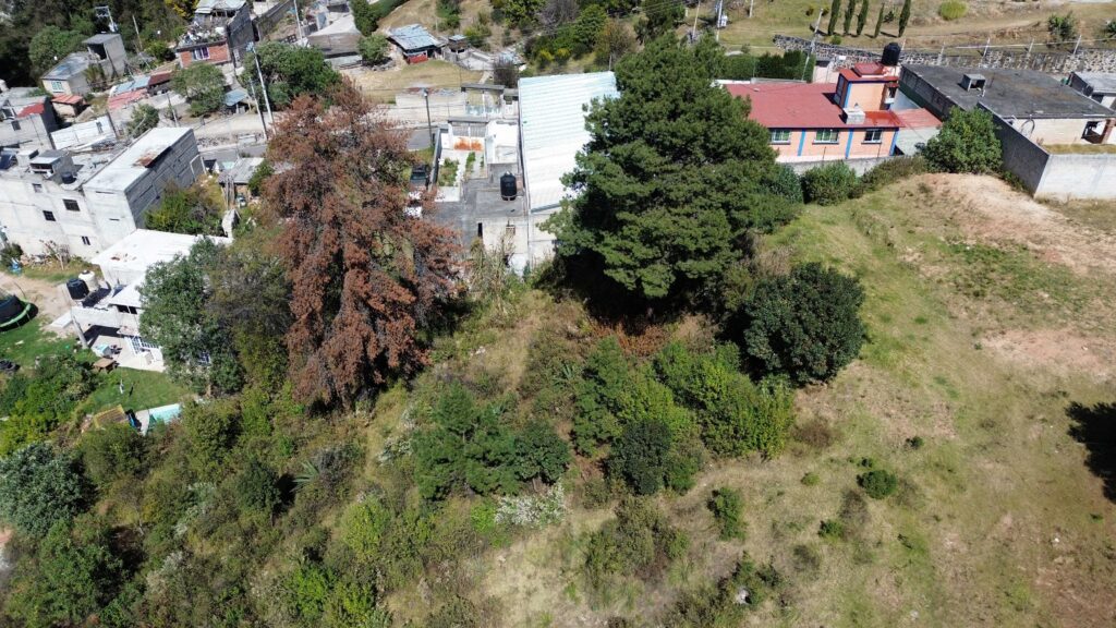 Terreno San Miguel Ameyalco dji 0320